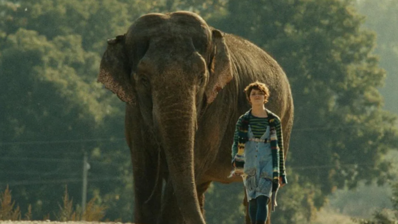 Тот самый Виталик, который пожаловался за ничего