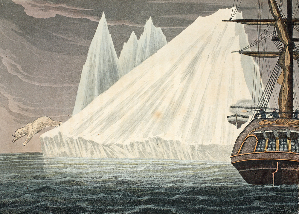 «Медведь, медведь, ныряющий в море», иллюстрация из книги «Путешествие с целью открытия… исследование вероятности Северо-Западного прохода» Джона Росса, 1819 г.