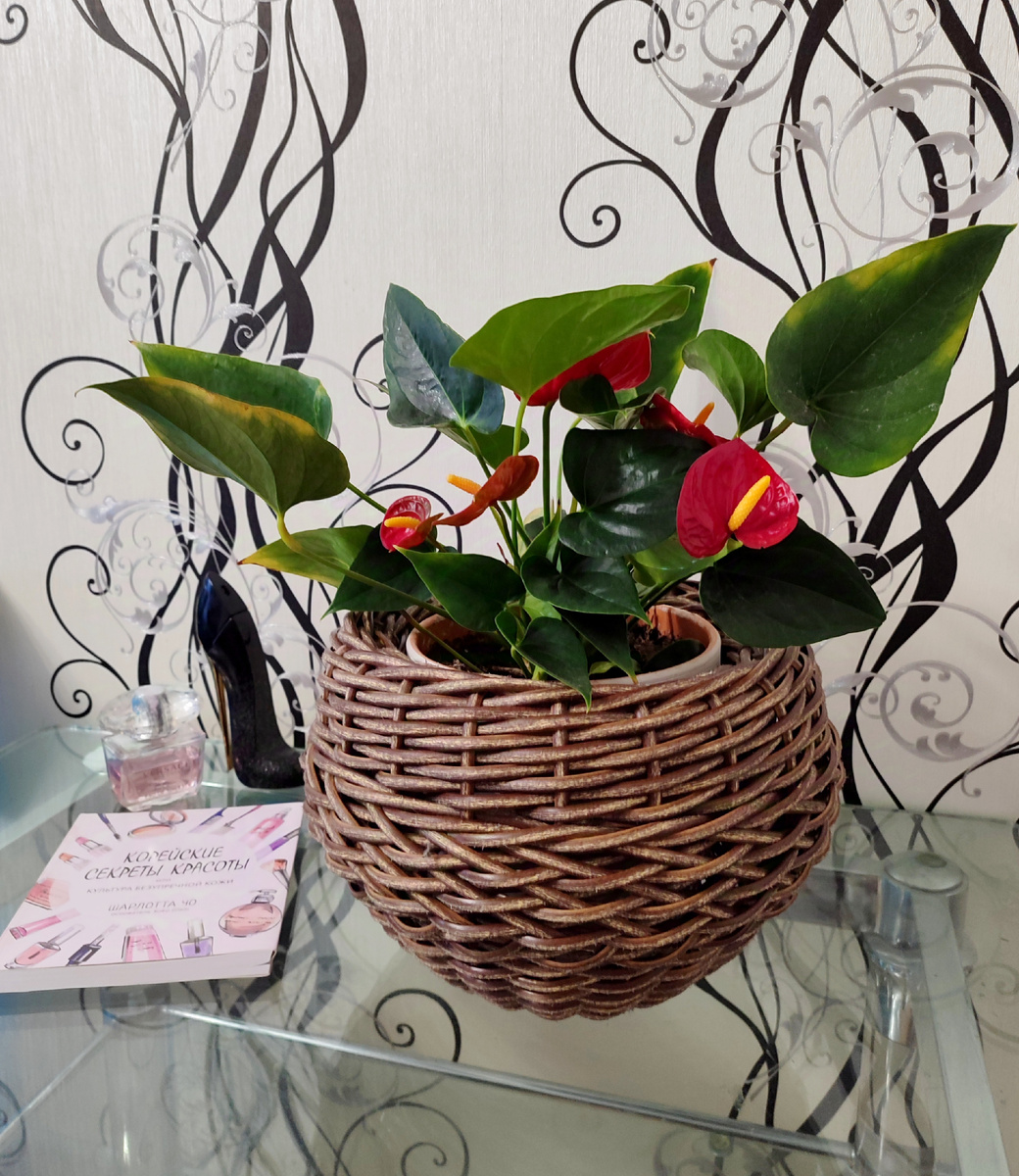 Пузатик объемом 5л с сеткой по центру