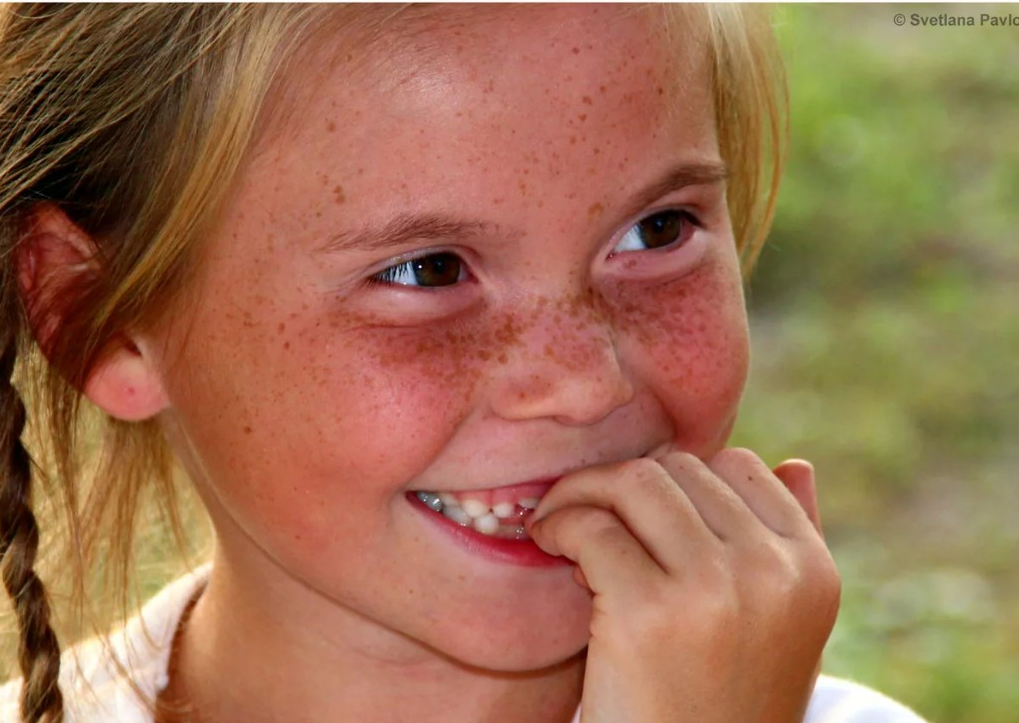 Взято из свободного доступа в интернете.