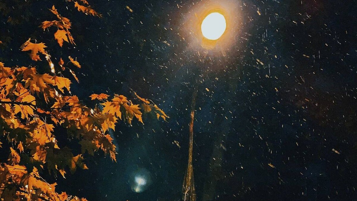    Фото: телеканал «Краснодар»