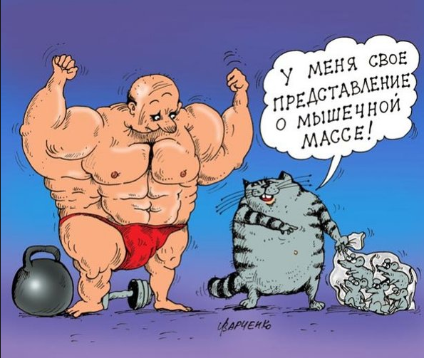 Источник Яндекс картинки