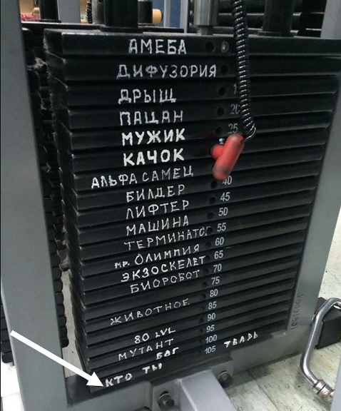 Источник Яндекс картинки