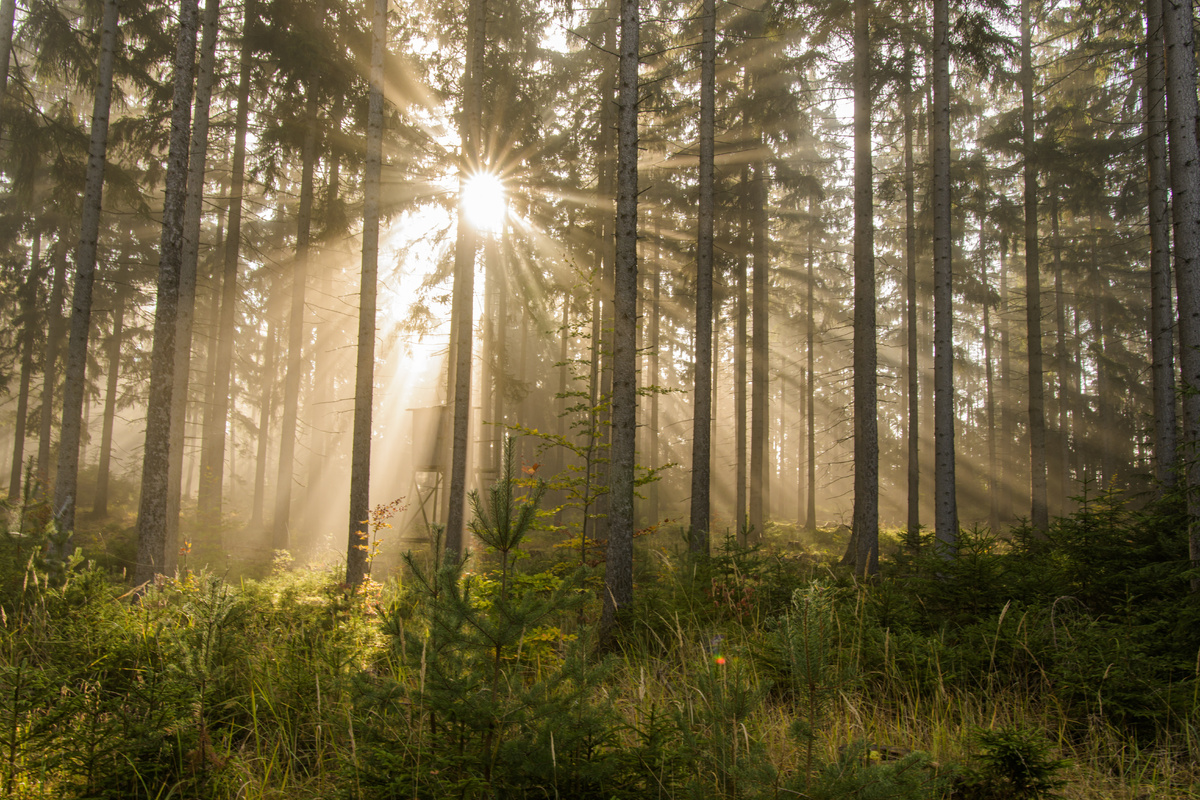 Лучи солнца - пучок фотонов.