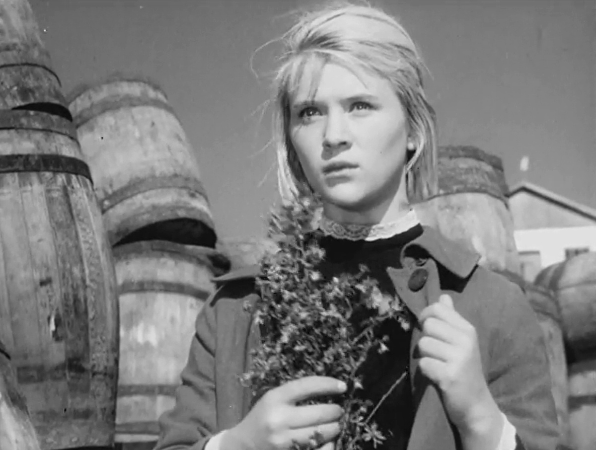 Кадр из кинофильма "Дикая собака Динго", 1962 г., режиссер Юлий Карасик, сценарист Анатолий Гребнев, композитор Исаак Шварц (скриншот) 