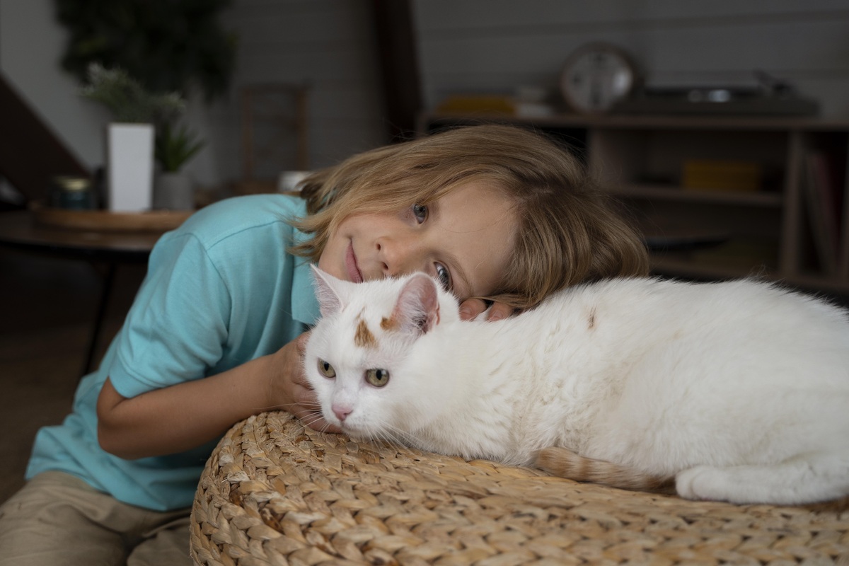     Какие кошки самые преданные: 5 пород для тех, кому нужен верный друг