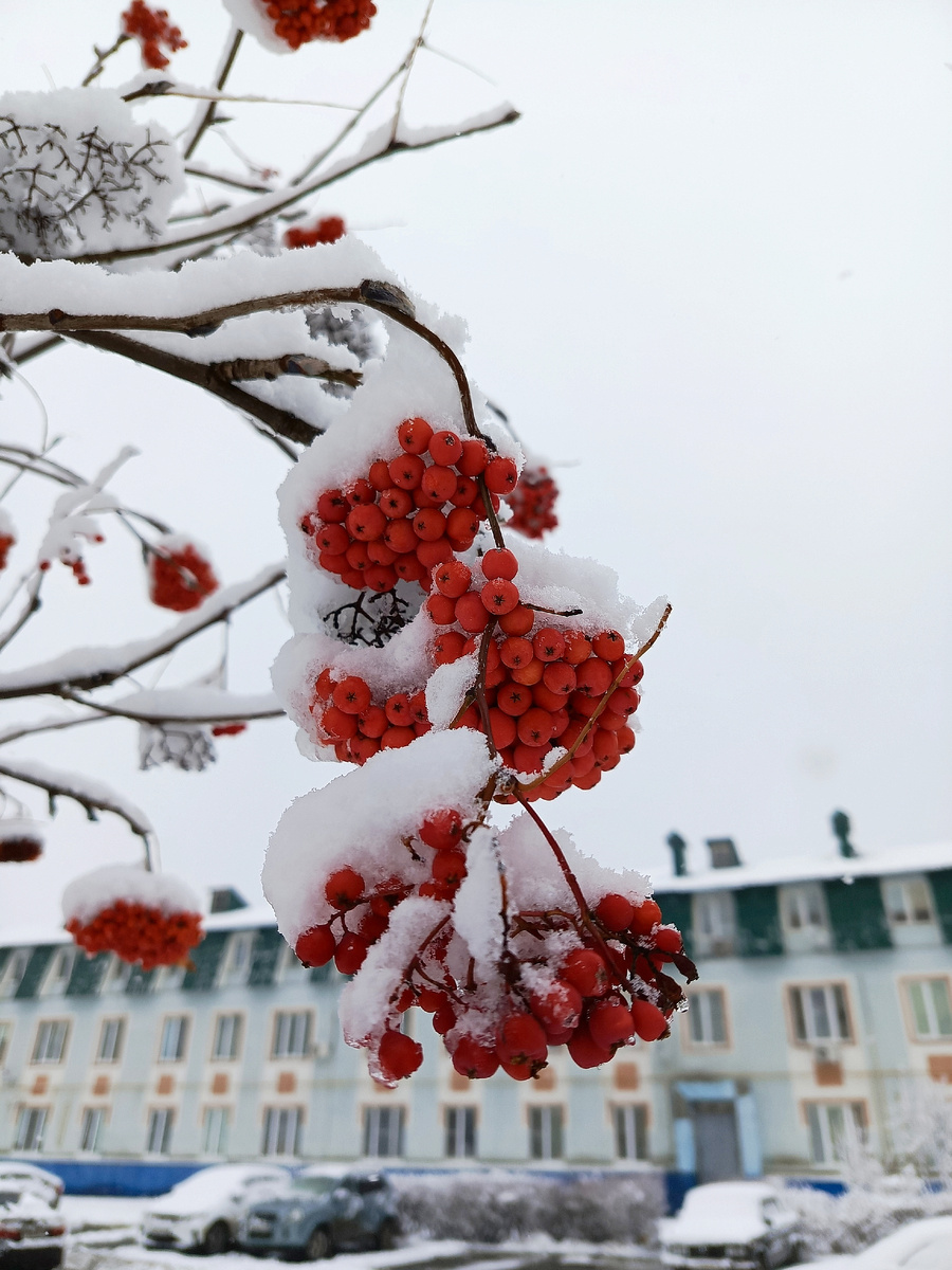 Фото автора канала