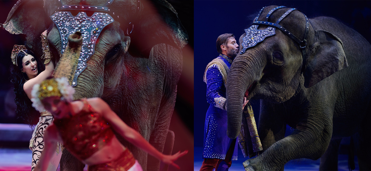 Анастасия и Андрей Дементьевы-Корниловы, фото отсюда: https://t.me/kornilov_show