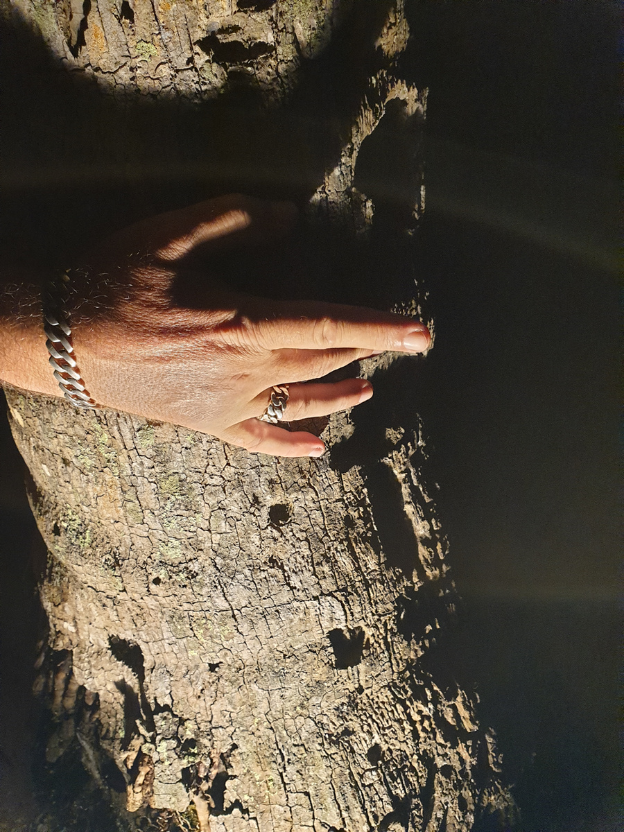 фото автора,  изделия ювелирной мастерской Metropolitenov