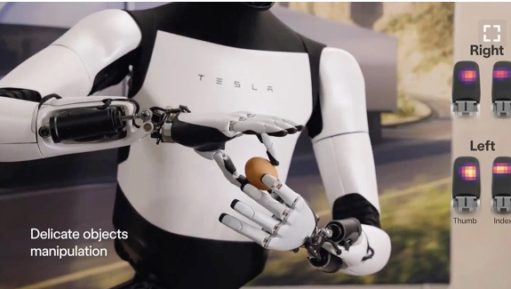 Фото: elonmusk / X