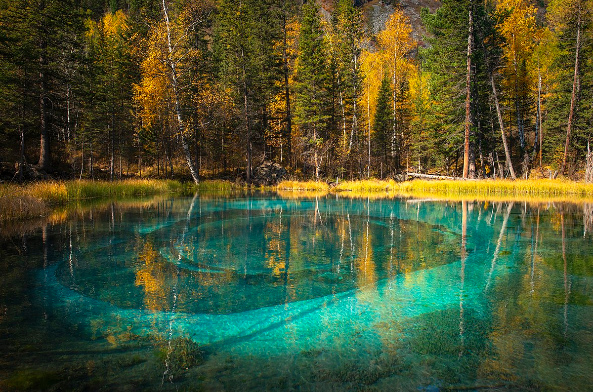 Фото: Discoverynn