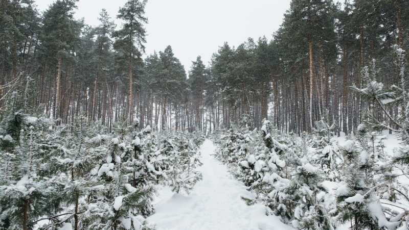 Фото: @freepic.diller / freepik.com