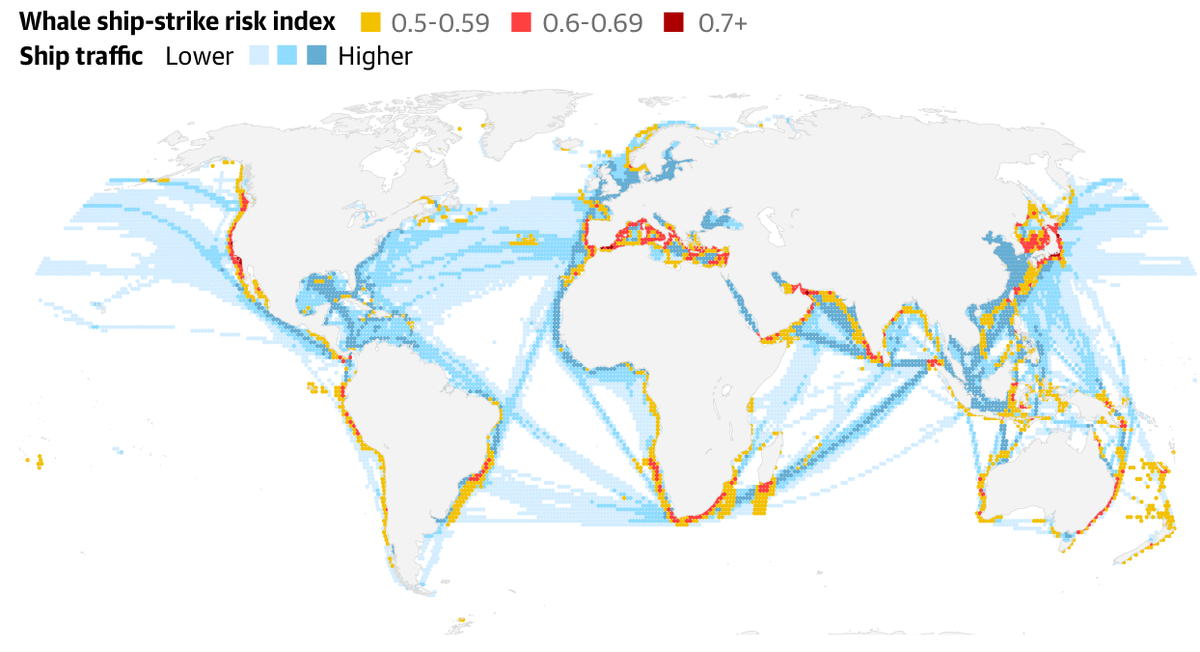    Guardian graphic. Source: Science. Issue 22 Nov 2024