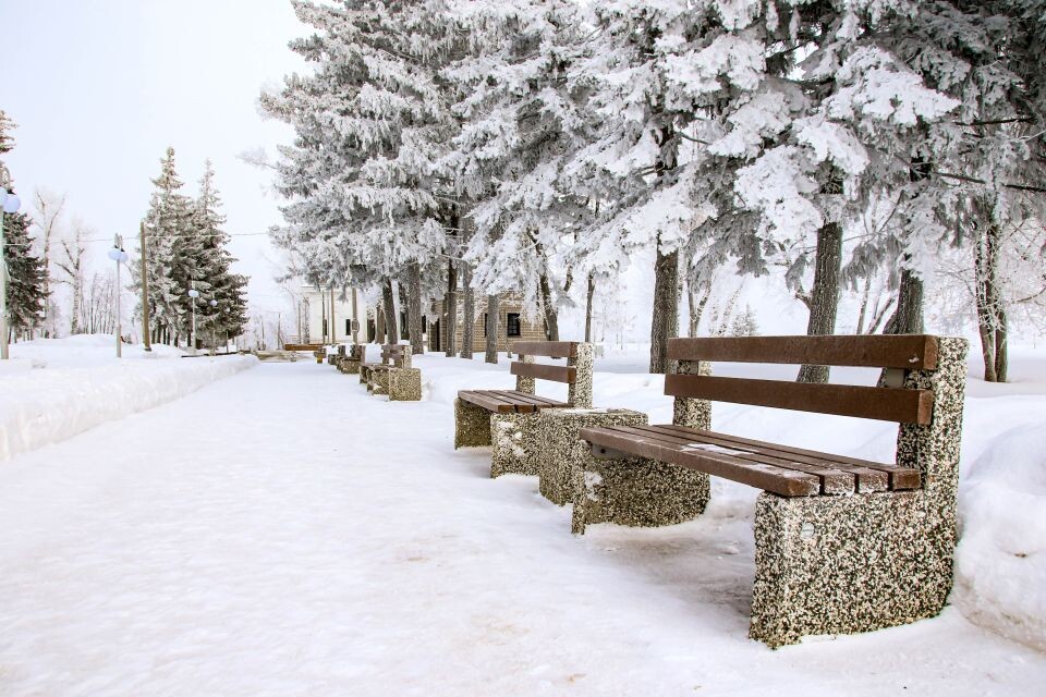    Погода. Зима. Снег.. Источник: Виталий Барабаш