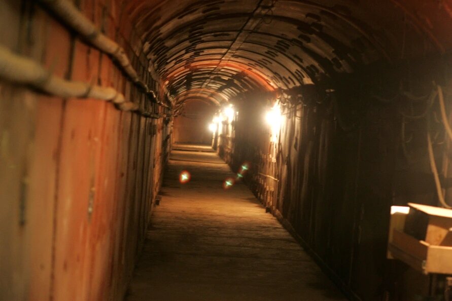    Фото: Alexander Chernykh/Russian Look/Globallookpress