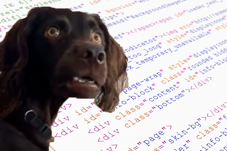 Какую профессию в IT выбрать?