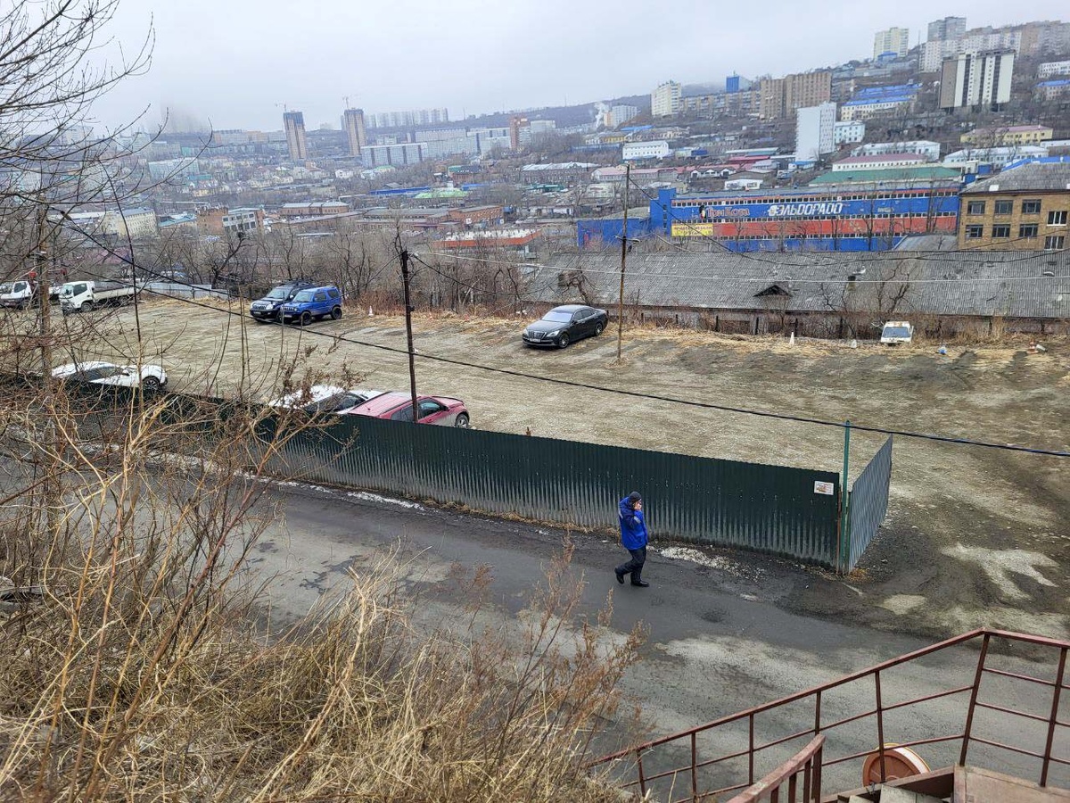 Первые ЧП из-за ураганного ветра произошли во Владивостоке.  Фото: Фото: ФедералПресс / Анна Миронова
