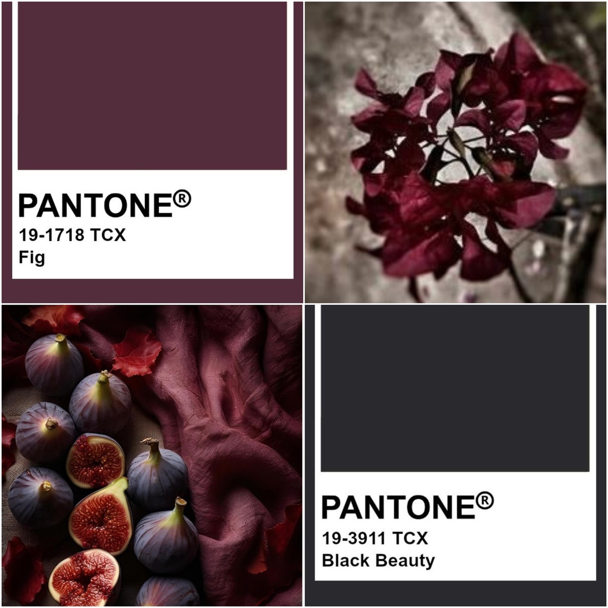 1. Иллюстрации из открытых сетей. Коллажи авторские.