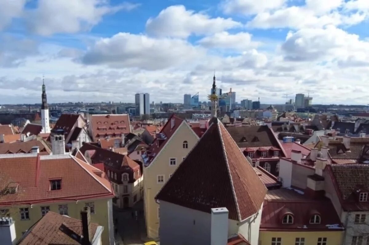    Глава МО Эстонии Певкур призвал союзников не отправлять войска на Украину