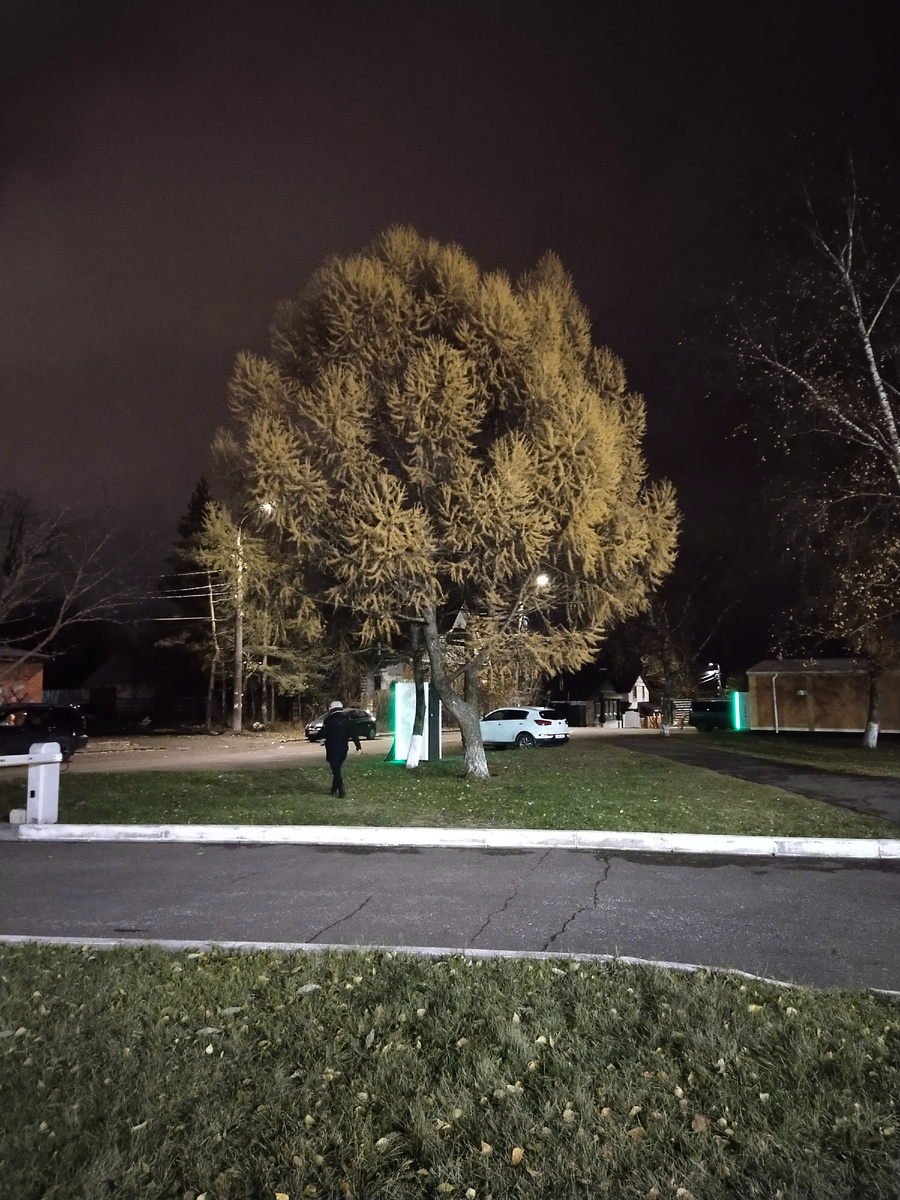 Личное фото