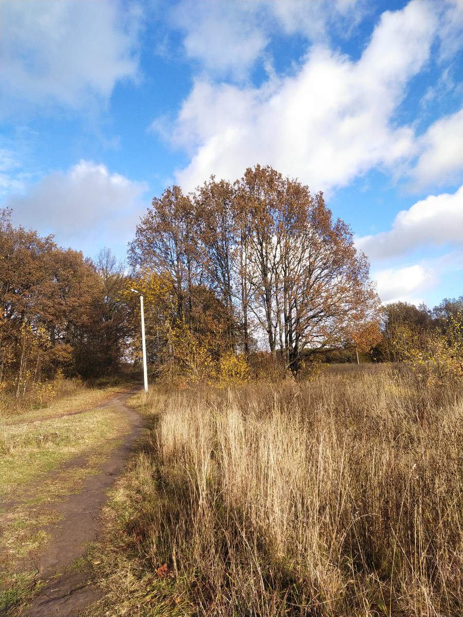Личное фото