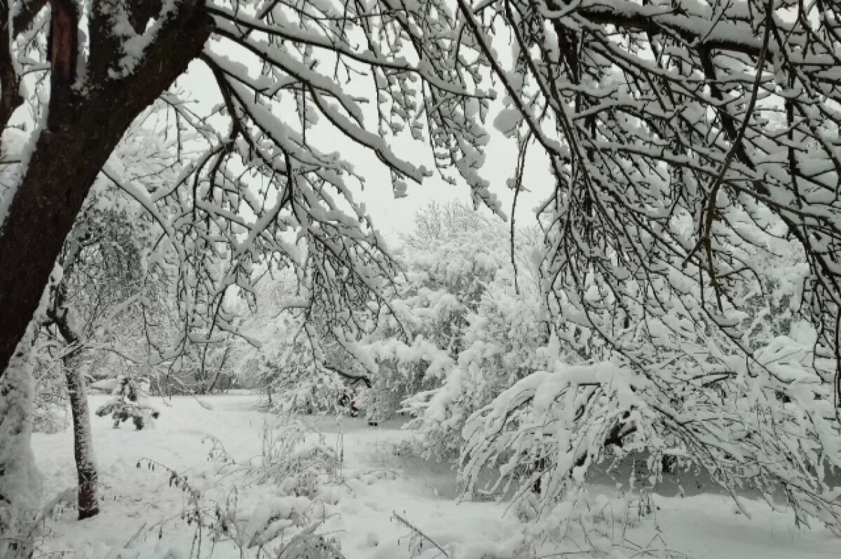    Комиссия по ЧС готовится спасать Комсомольск-на-Амуре от снежного циклона