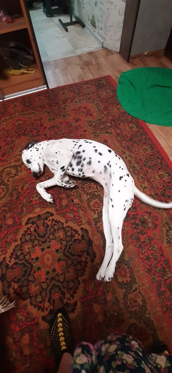 Анабель сейчас в прекрасной семье