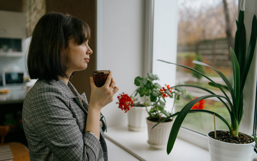    Главные новости Ижевска на утро 26 ноября: победа «Ижстали» и срок за убийство новорожденной
