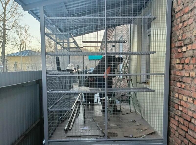 Листайте вправо, чтобы увидеть больше изображений