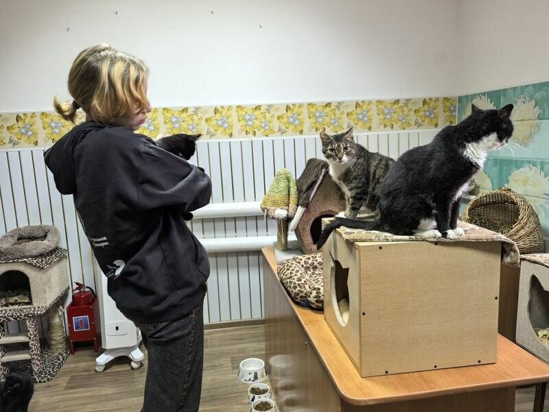 Листайте вправо, чтобы увидеть больше изображений