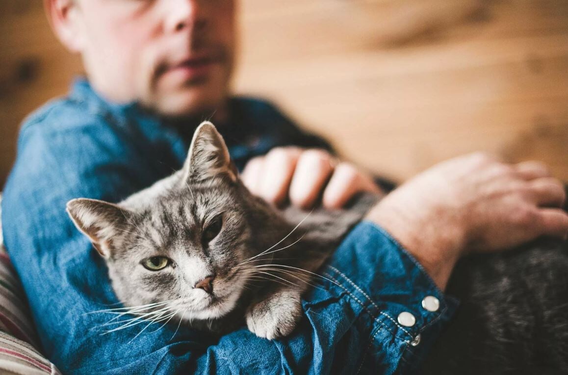 Источник: Яндекс картинки