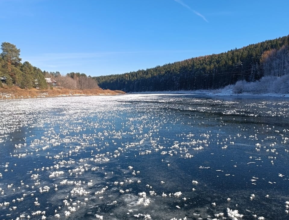    Фото: группа Дирекции ООПТ в сети VK Ульяна Бажанова