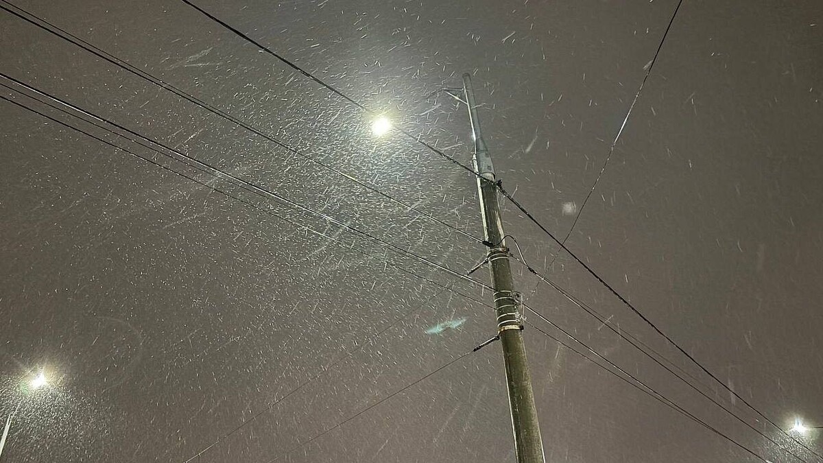    Фото: телеканал «Краснодар»