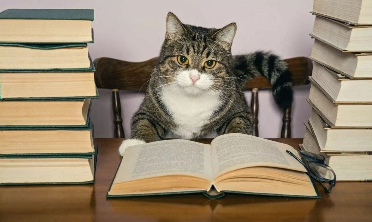 Источник: Яндекс картинки