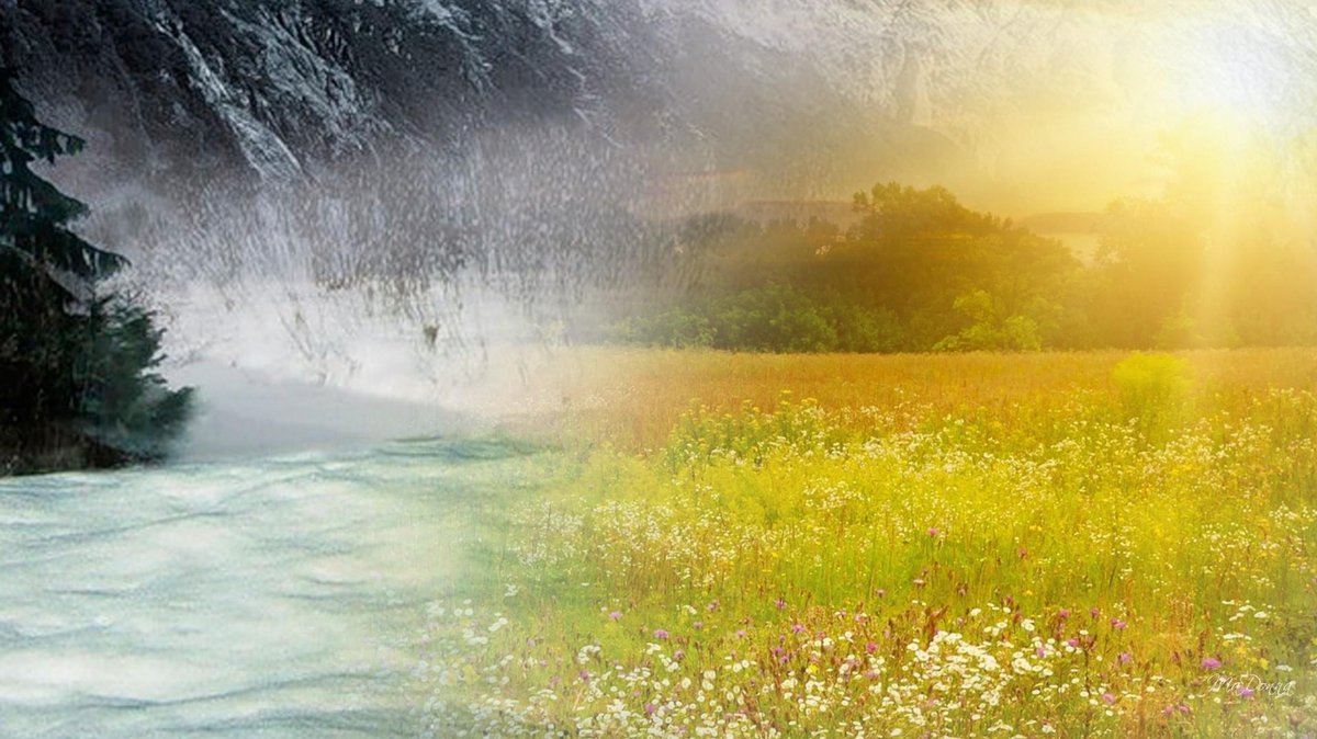 Сидя иры (два времени года)