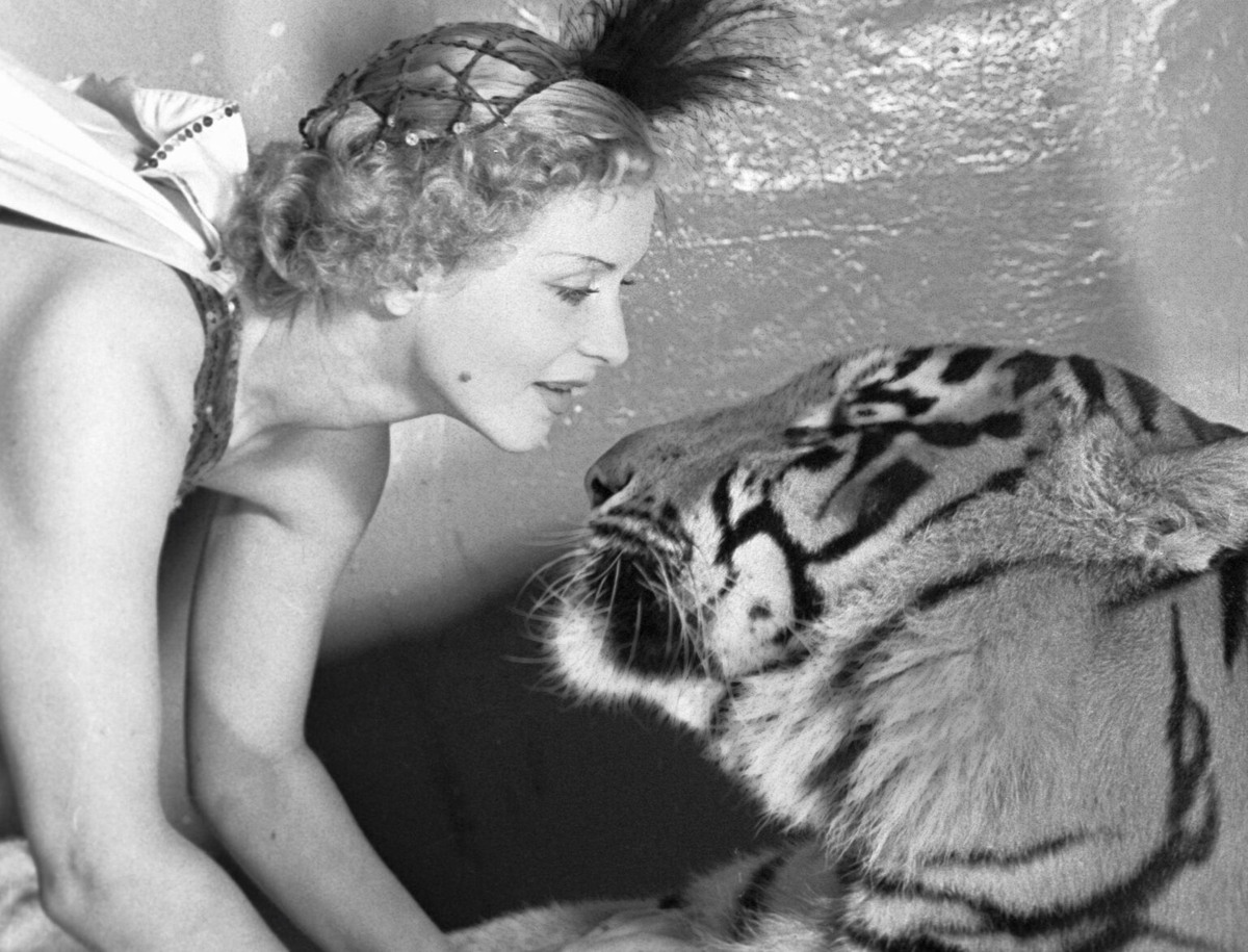 Дрессировщица тигров Маргарита Назарова, 1958 год. Фото Л. Великжанина / РИА Новости