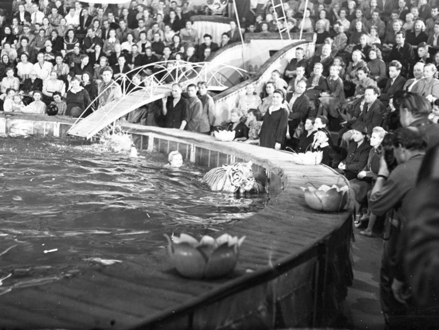 Программа «Водная феерия» Константина Константиновского и Маргариты Назаровой, 1954 год. Фото Д. Козлова