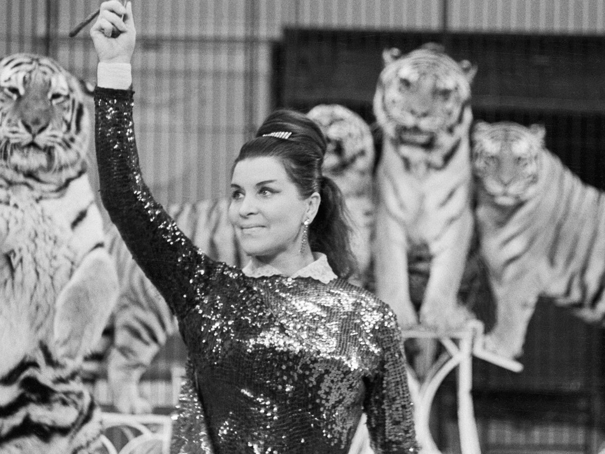 Маргарита Назарова с тиграми на арене цирка, 1960-е годы. Фото И. Дынина