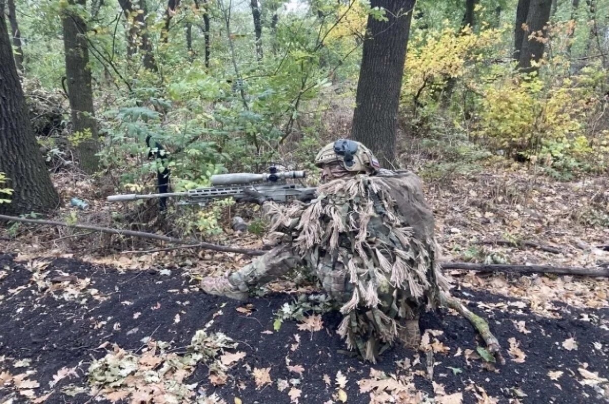    Под прикрытием снайперов.