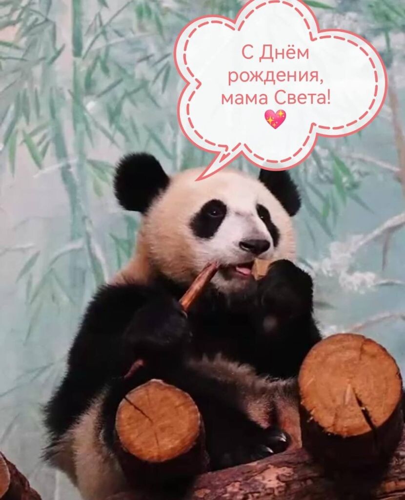     Катюша и её мысли. Источник: t.me/svetlanaakulova1 Автор фото: Светлана Акулова