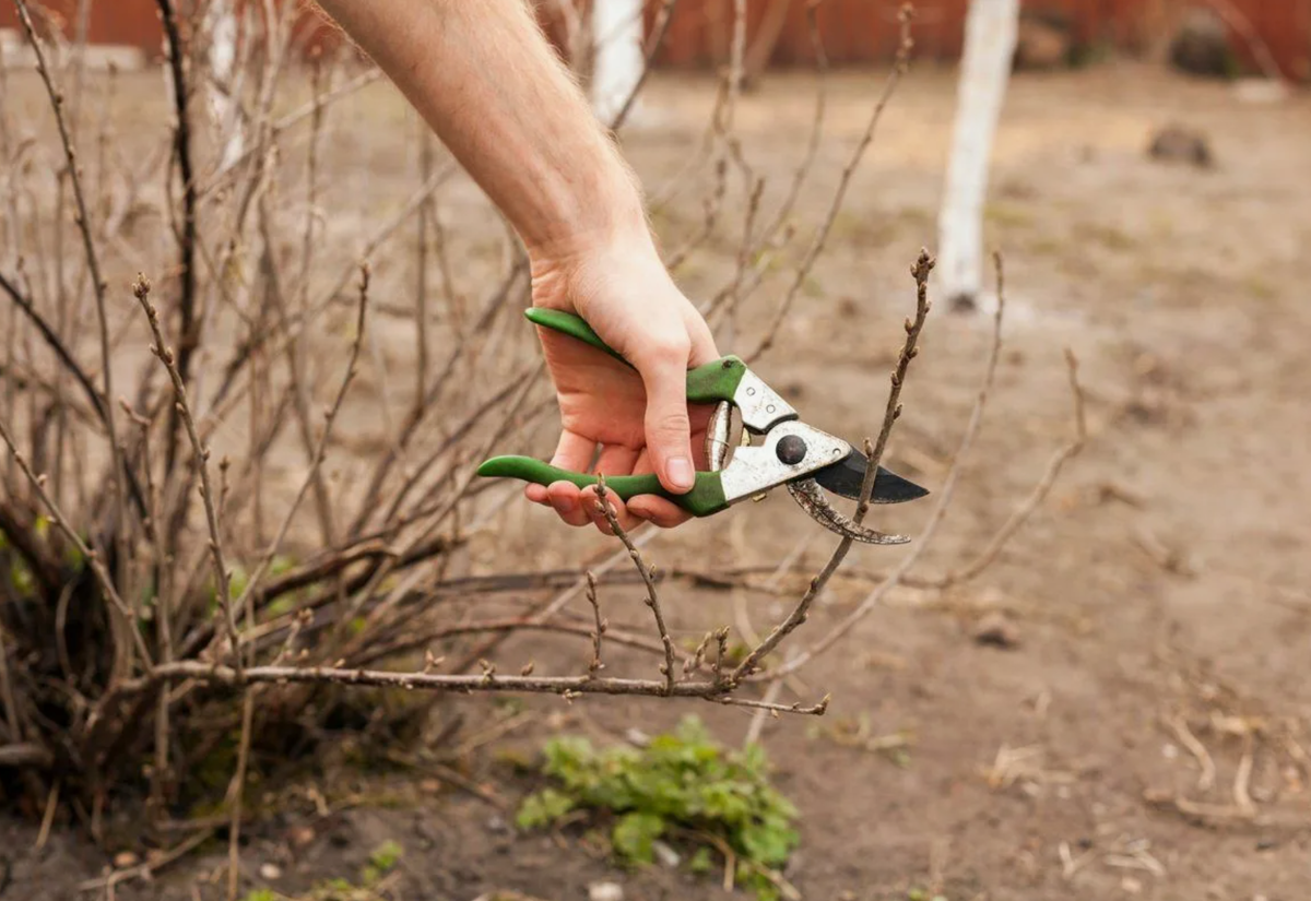 Источник фото: pinterest.com
Источник фото: pinterest.com
Источник фото: pinterest.com