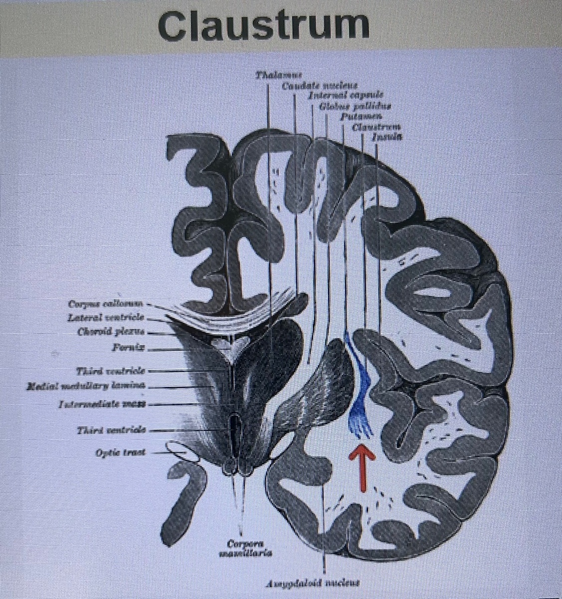 Рисунок №1.
