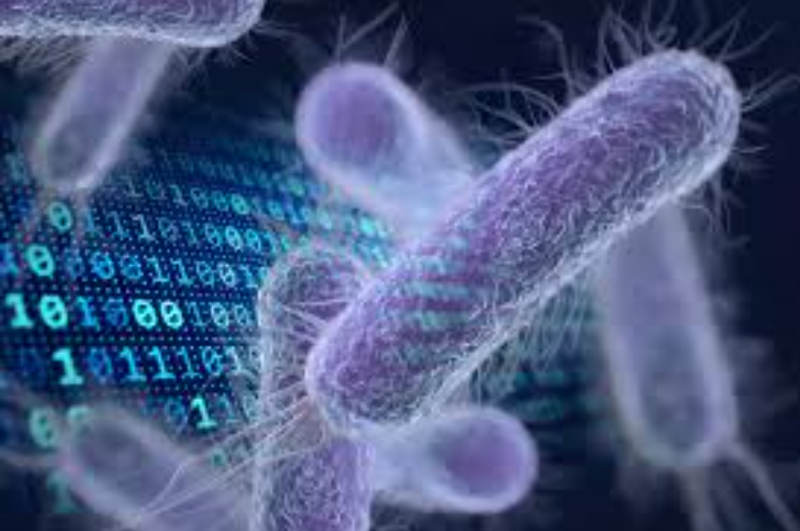 Иллюстрация: consultqd.clevelandclinic.org