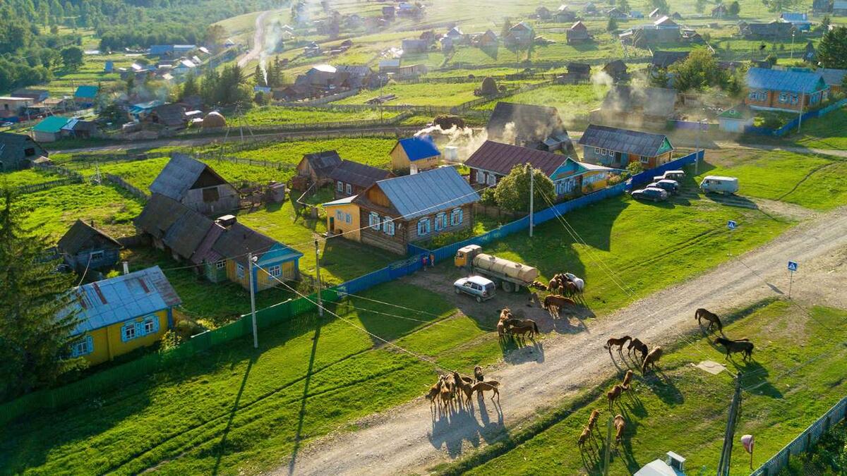    На развитие сельских территорий в 2025 году могут выделить 115 млрд рублей