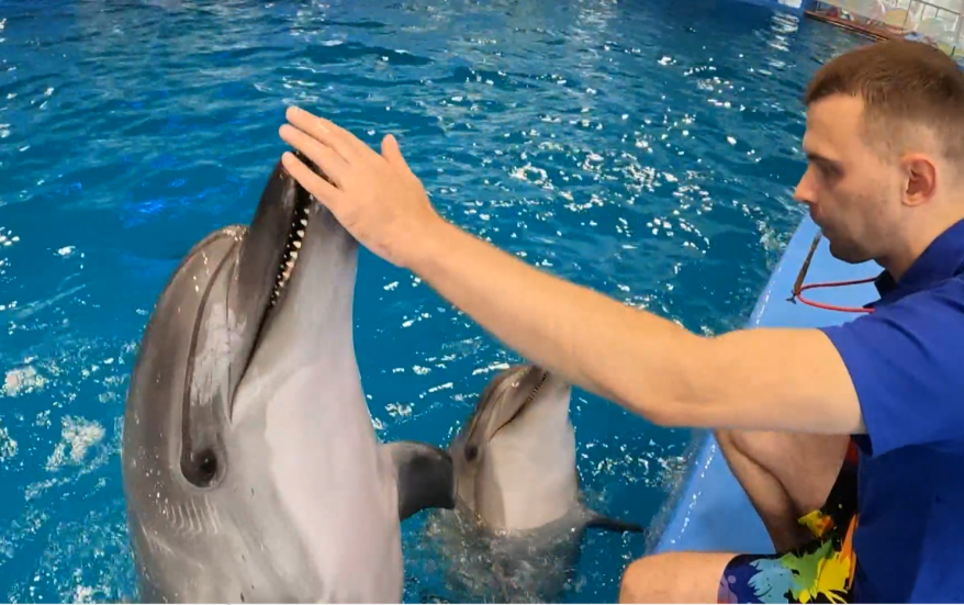    Источник фото: