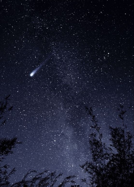 Фото - из Интернета. Стихотворение написано 24.11.2024г.