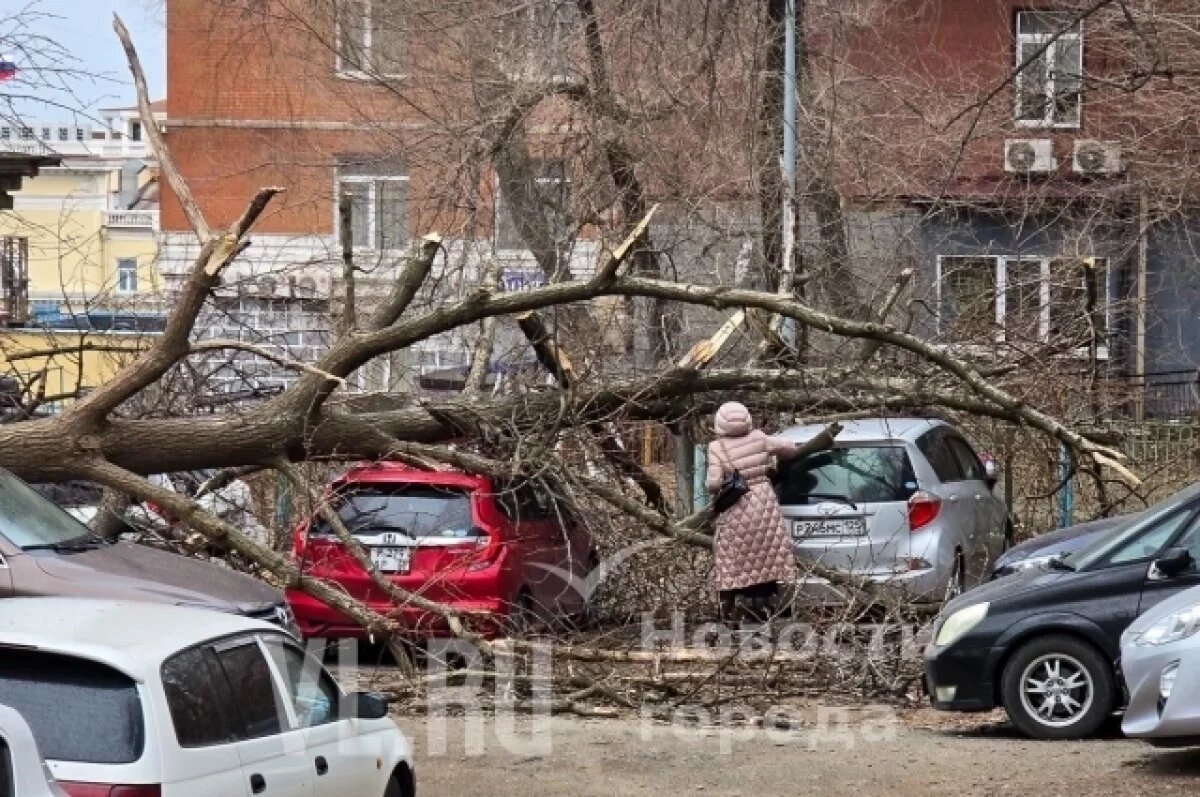    Штормовой ветер бушует во Владивостоке: