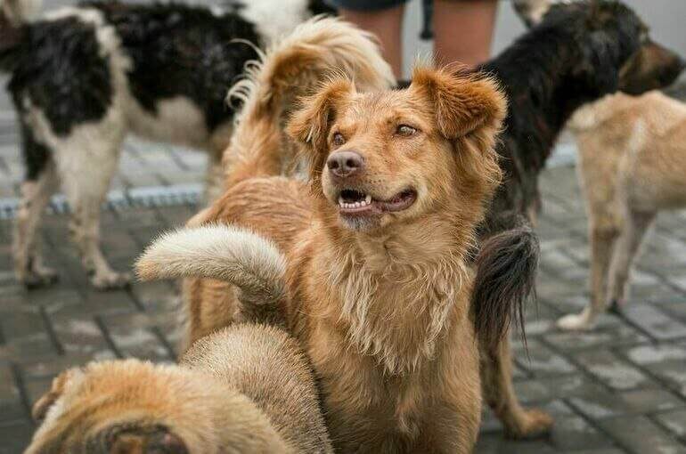    Фото: Парламентская газета