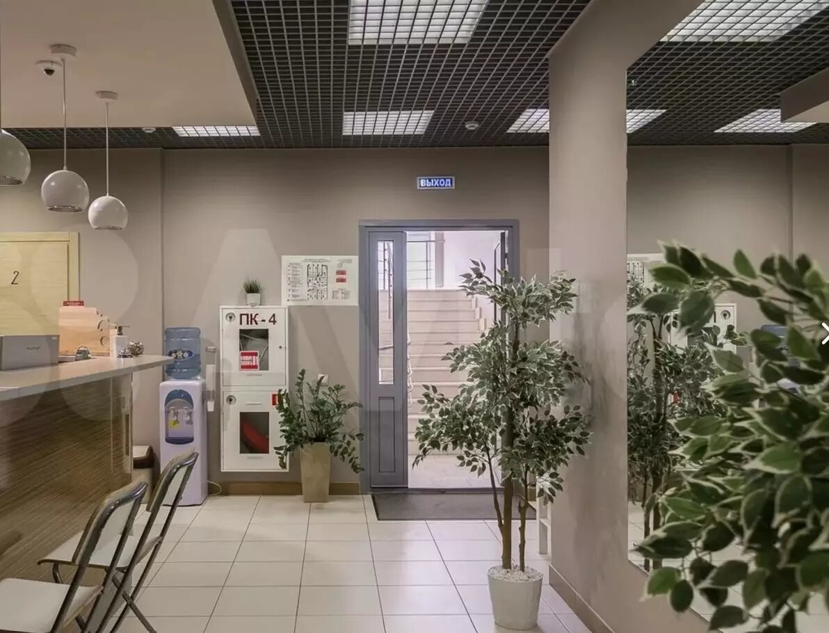     Источник: Авито