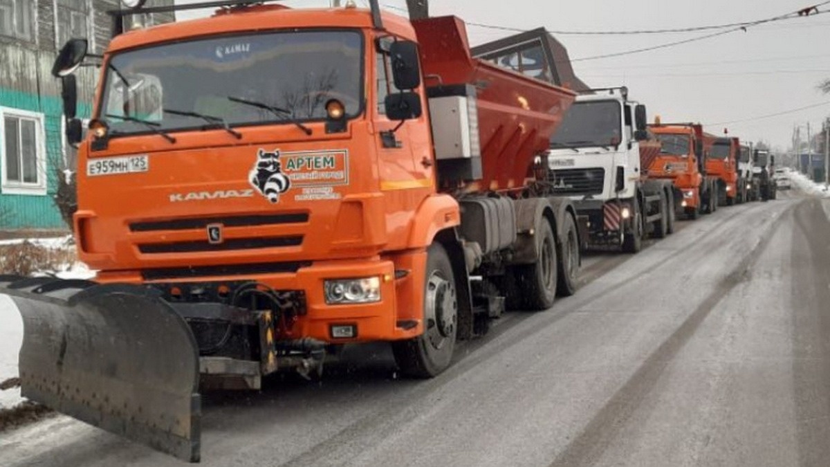     Источник: artemokrug.gosuslugi.ru